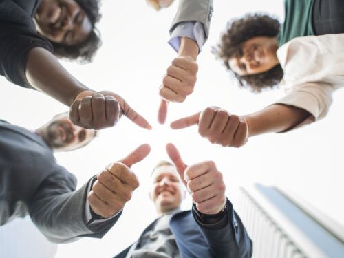 Organisation professionnelle