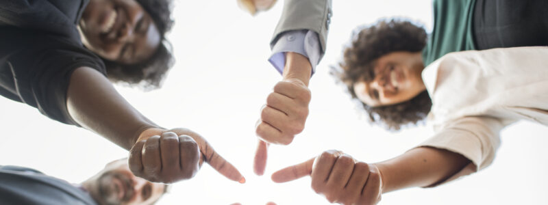 Organisation professionnelle