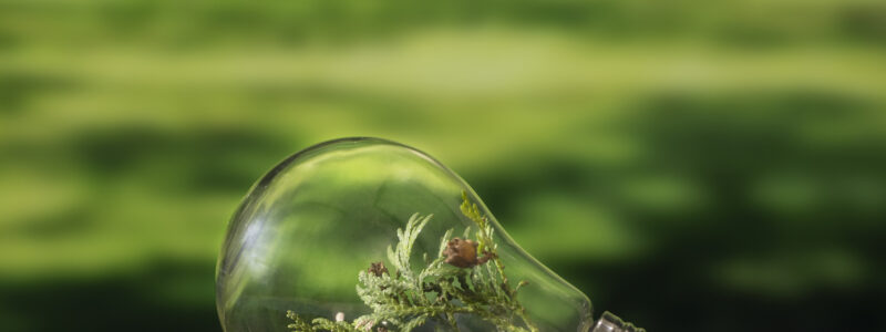 Transition énergétique